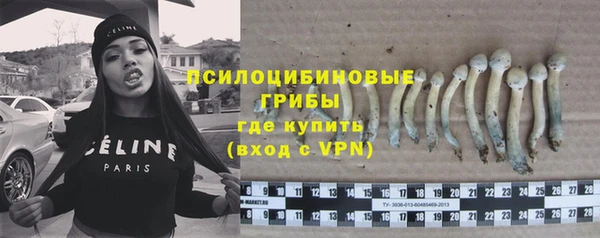 герыч Алексин