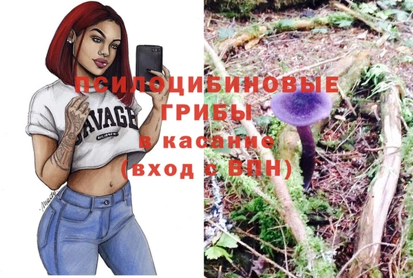 apvp Алексеевка