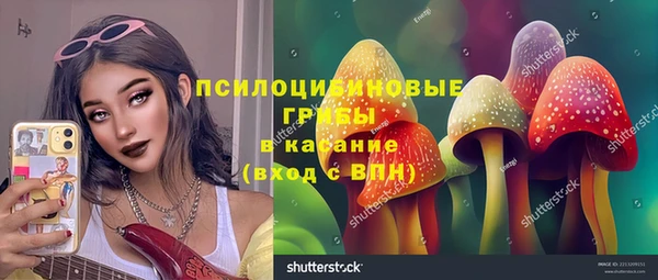 герыч Алексин