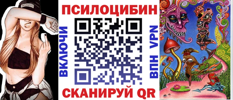 Галлюциногенные грибы Psilocybe  Губкин 