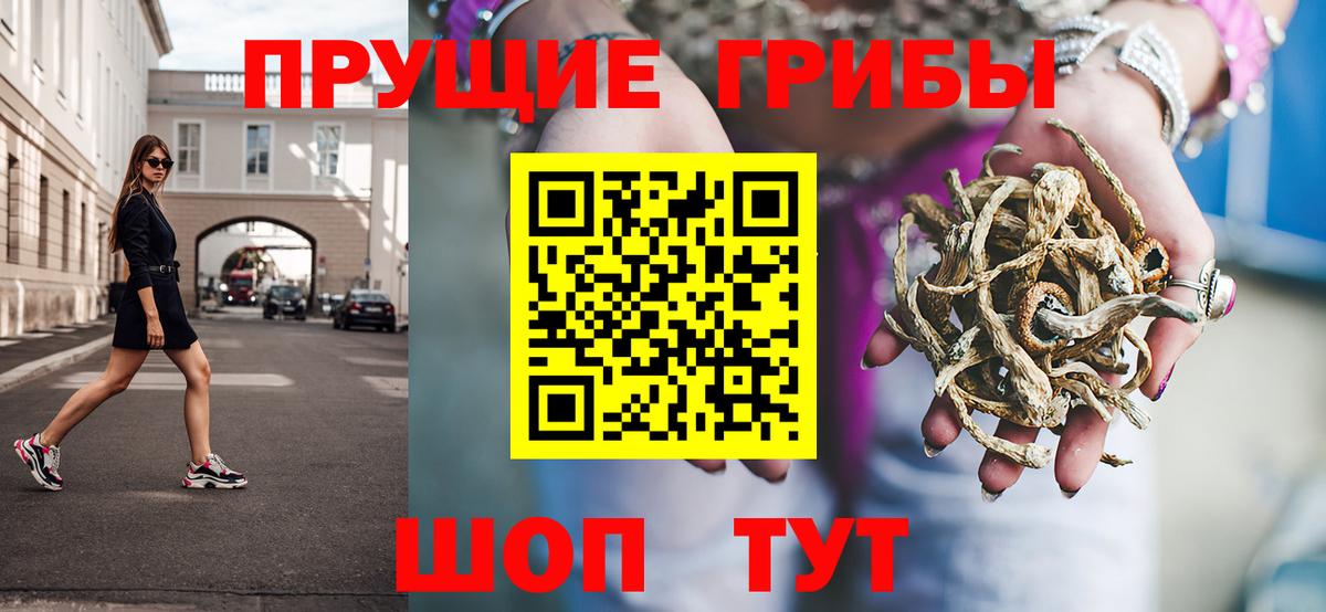 Губкин  Галлюциногенные грибы MAGIC MUSHROOMS  Вход с VPN 